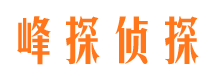 中宁市调查公司